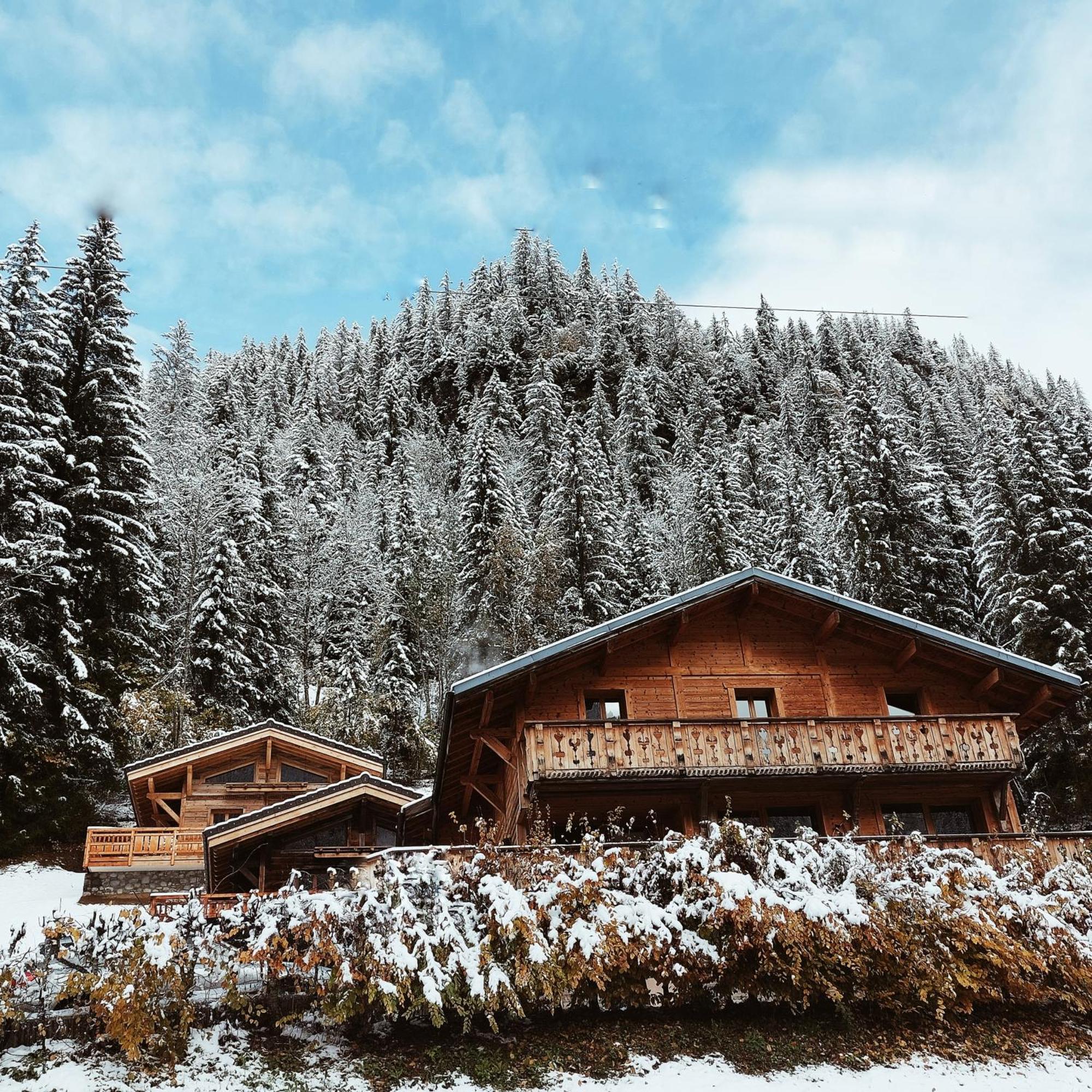 Savoya Lodges Châtel Extérieur photo