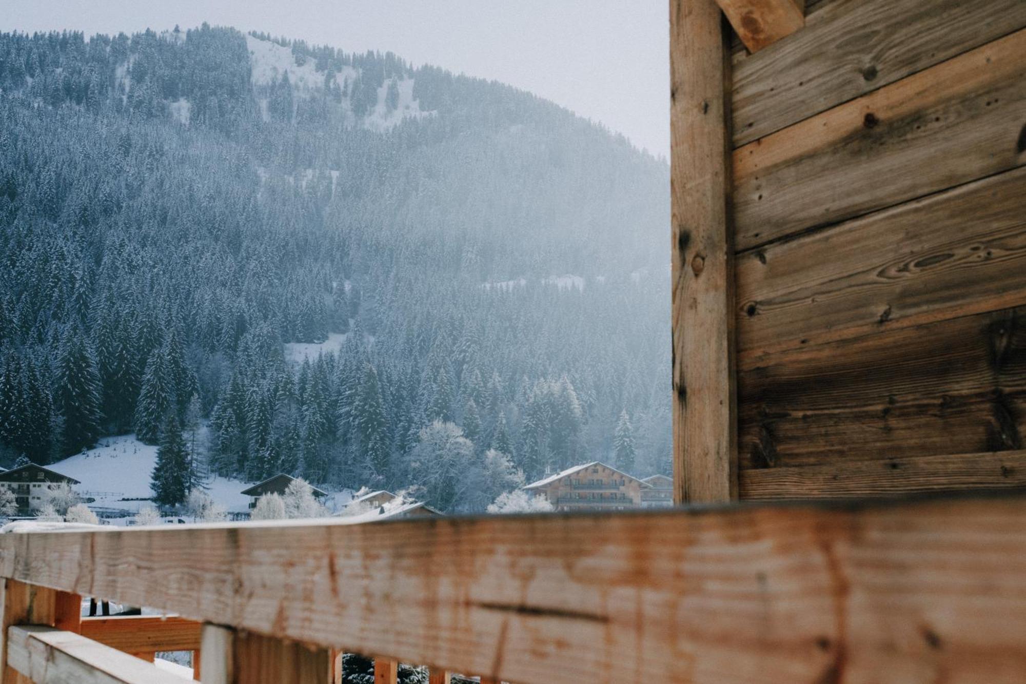 Savoya Lodges Châtel Extérieur photo