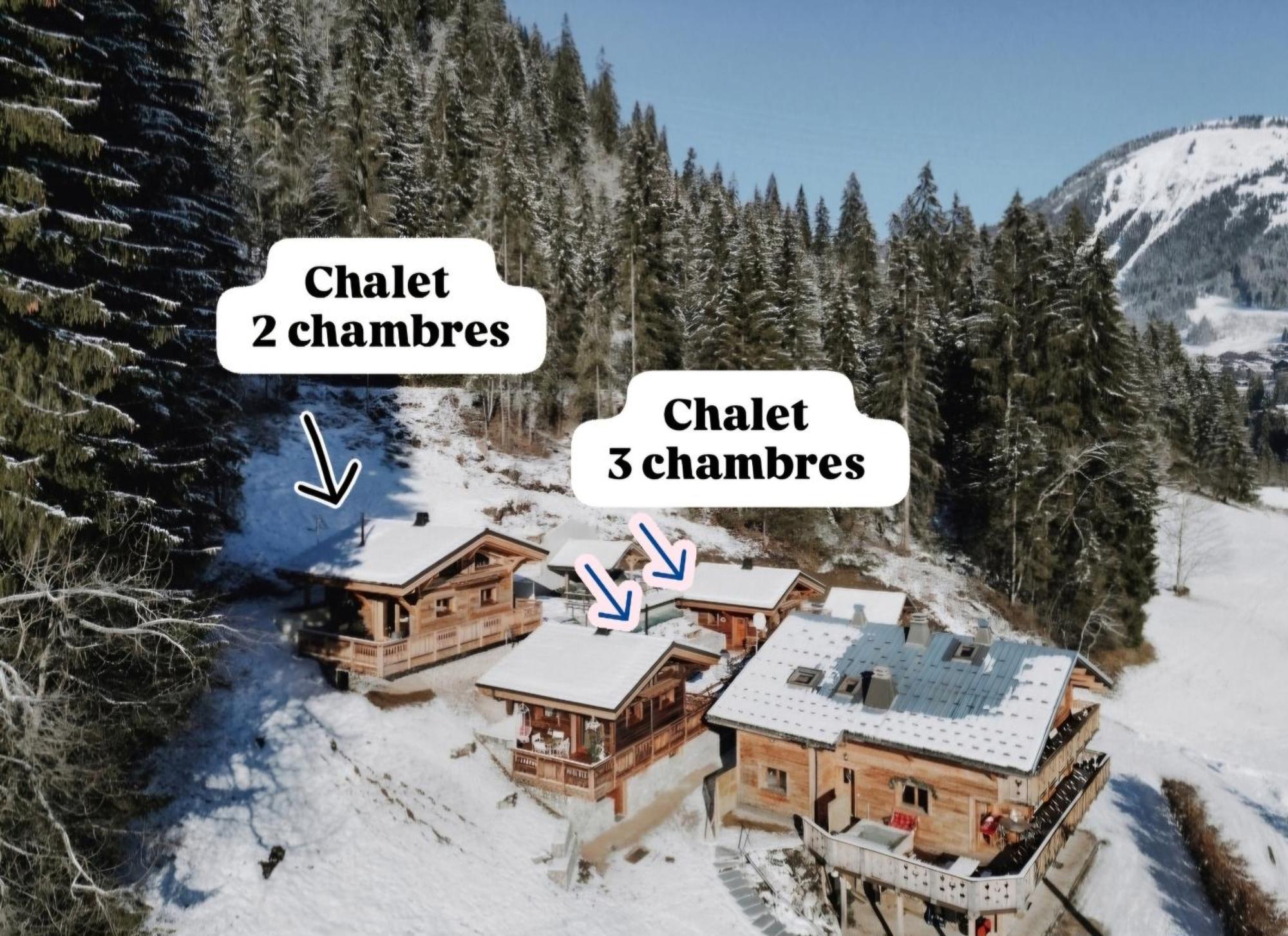 Savoya Lodges Châtel Extérieur photo
